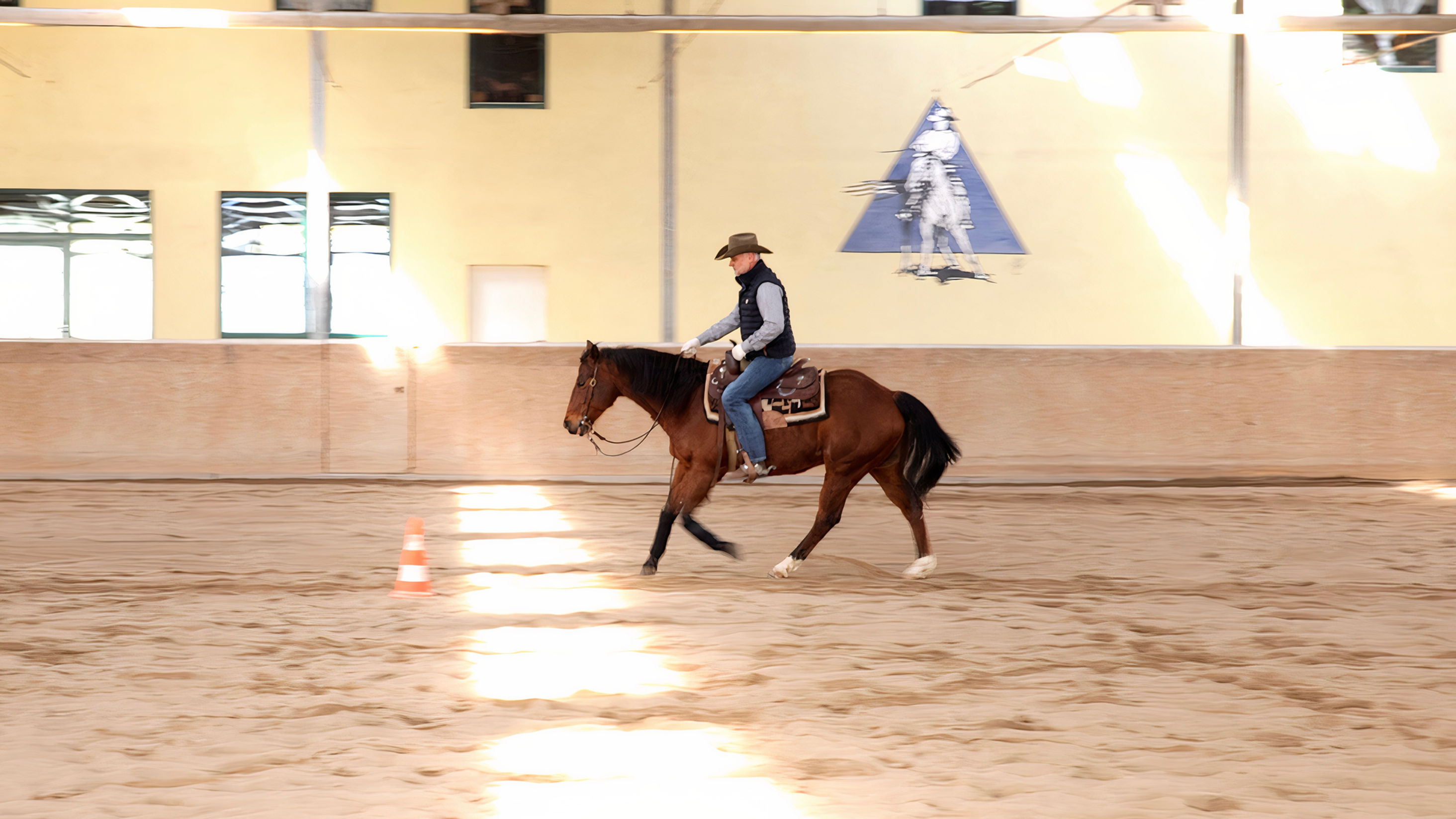 Spannung im Galopp: Training mit erfahrenen Pferden